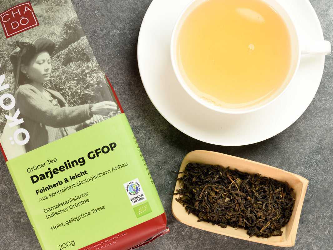 Bio Darjeeling Grüntee - WFTO